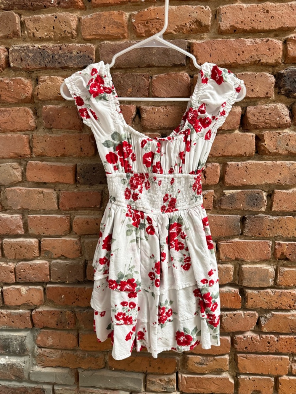 Hollister Mini Dress with Red Rose Print